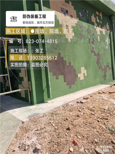 滨海核心结论：专业提供外墙迷彩漆施工服务